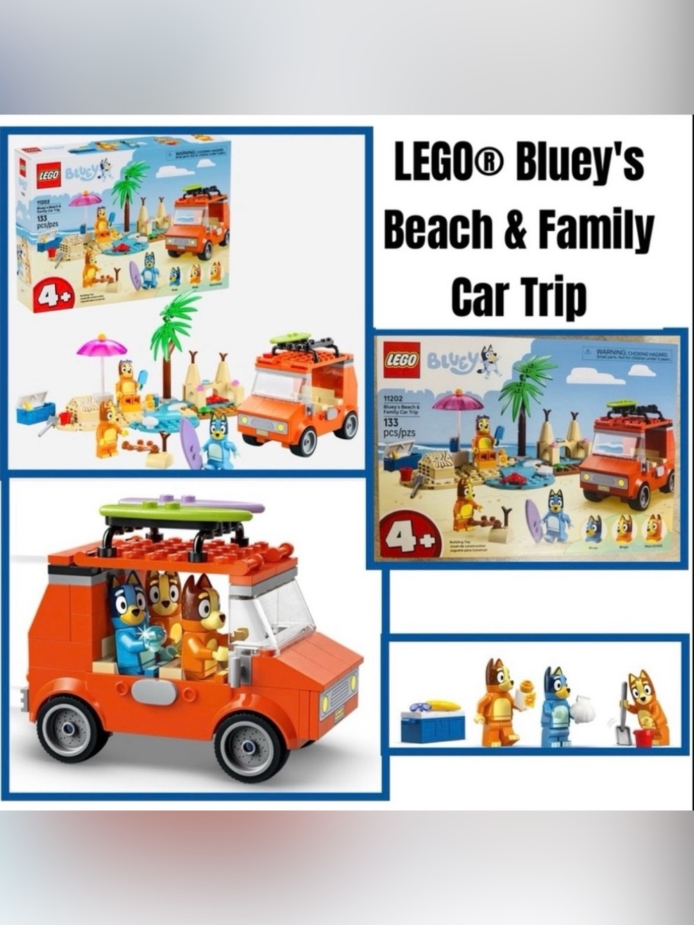 Bluey's Beach & Family Car Trip